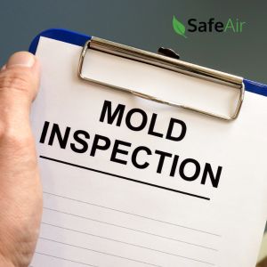 Mold Inspection in Toronto